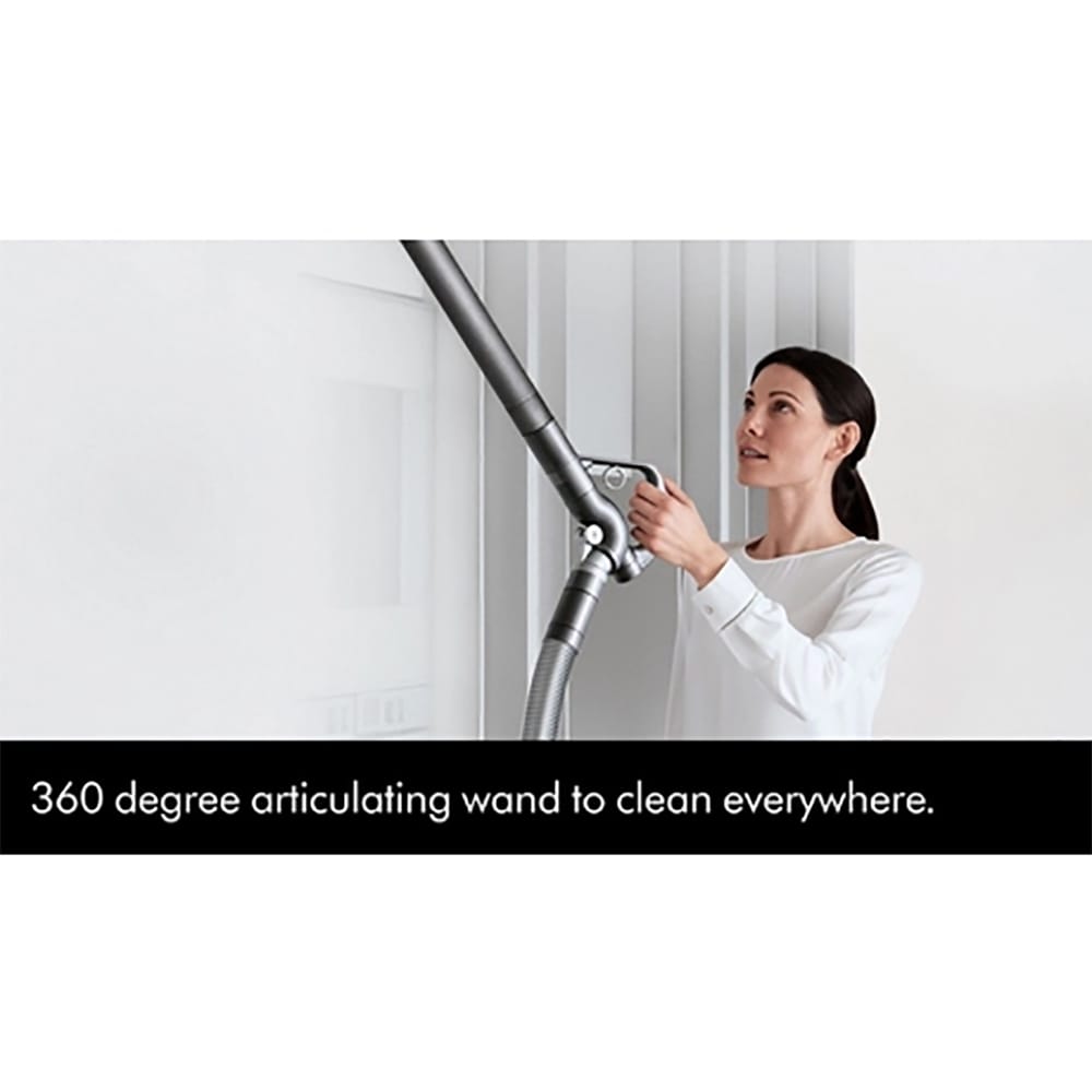 Dyson Big Ball Animal 2 Cylinder Vacuum Cleaner in Grey image 6