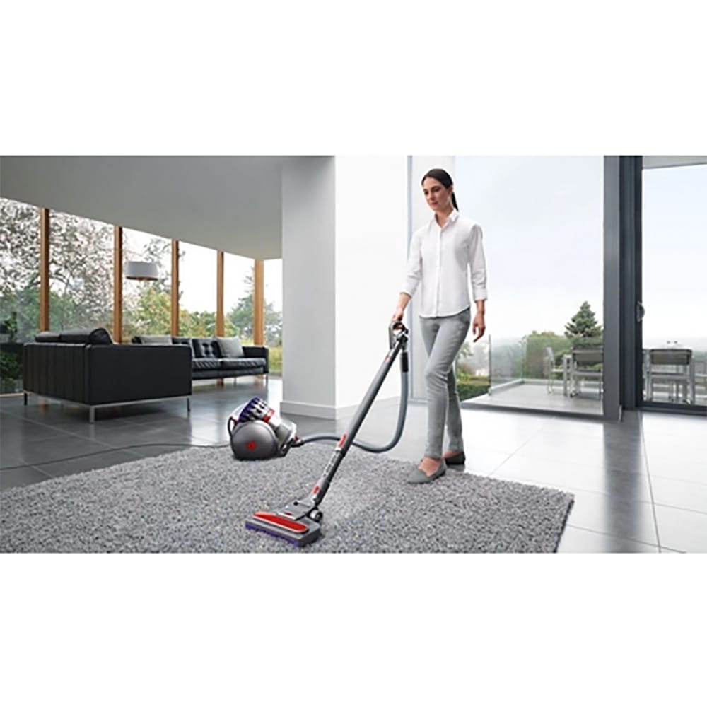 Dyson Big Ball Animal 2 Cylinder Vacuum Cleaner in Grey image 1