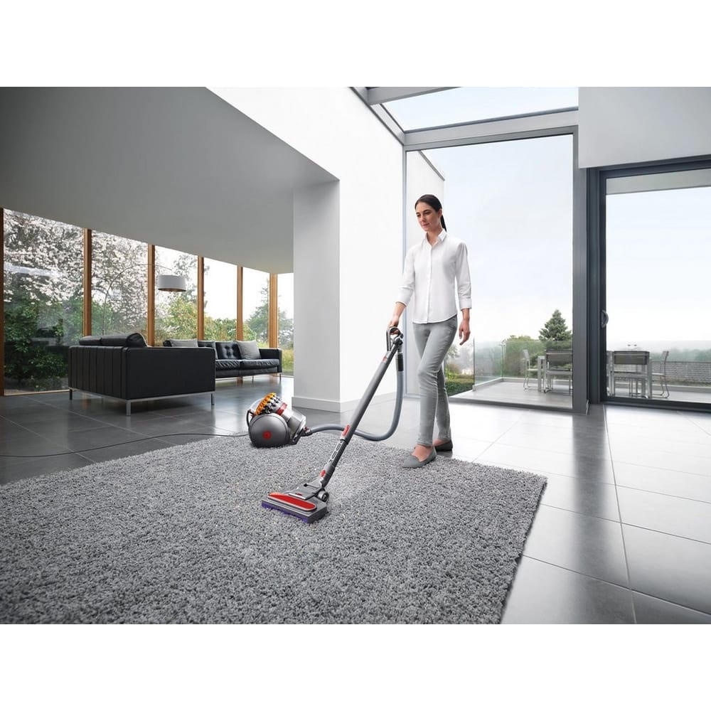Dyson Big Ball Multifloor 2 Cylinder Vacuum Cleaner in Grey image 1
