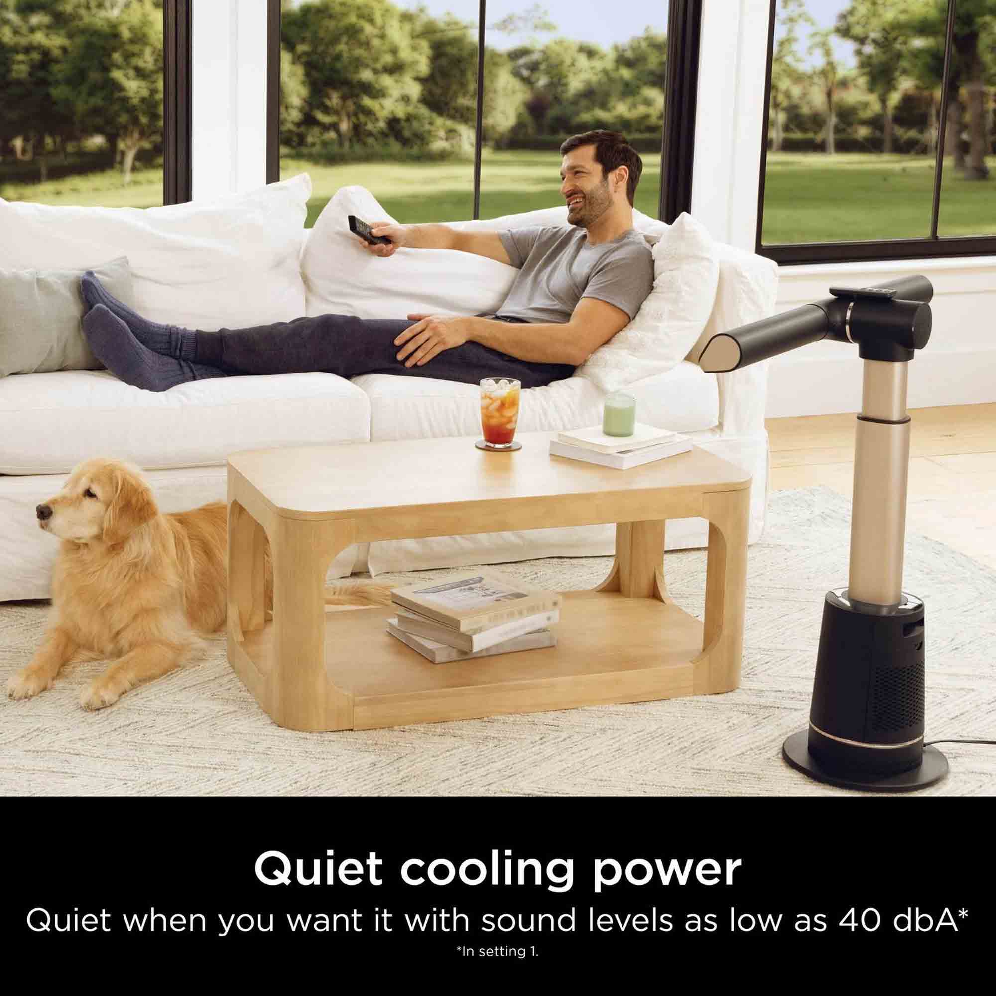 Shark TurboBlade Multi-Directional Cooling Fan in Charcoal & Beat Brass - TF200SUK image 6