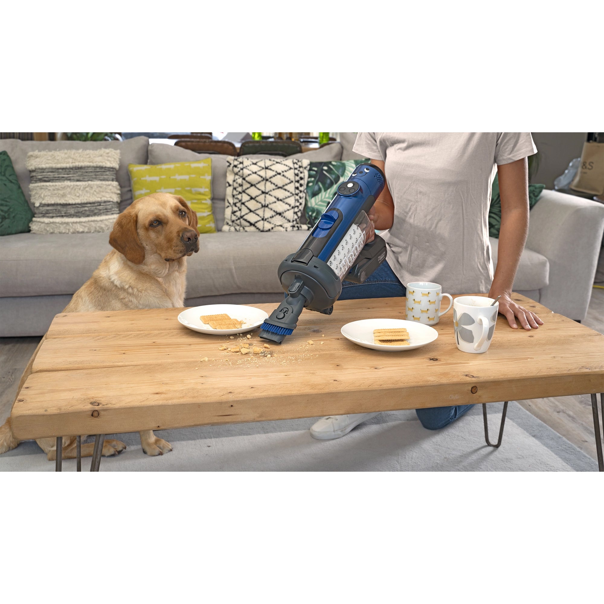 Numatic Henry Quick Pet Cordless Vacuum Cleaner in Blue - 916634