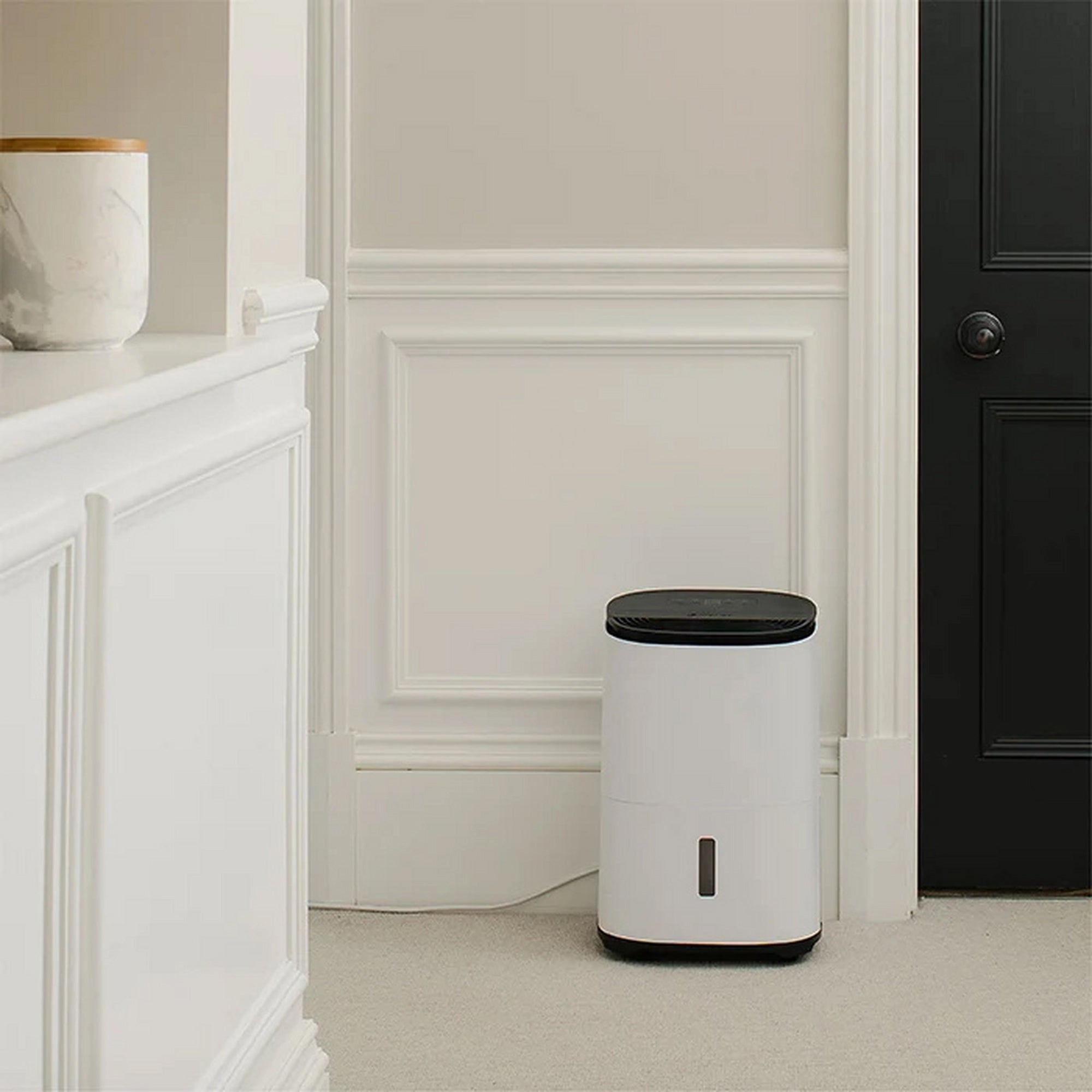 MeacoDry Arete One 12L Dehumidifier and Air Purifier - White and Charcoal Black (ARETEONE12L)