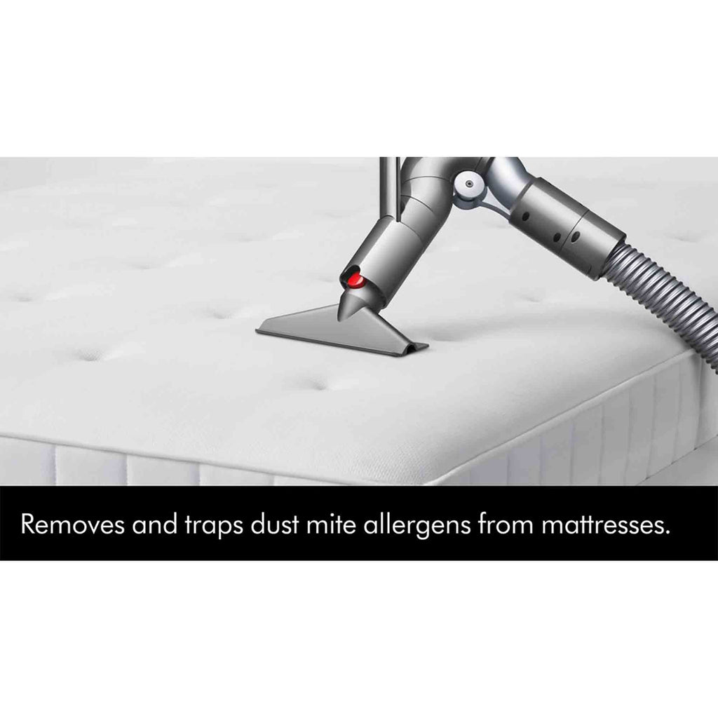 Dyson Ball Animal Upright Vacuum Cleaner in Silver