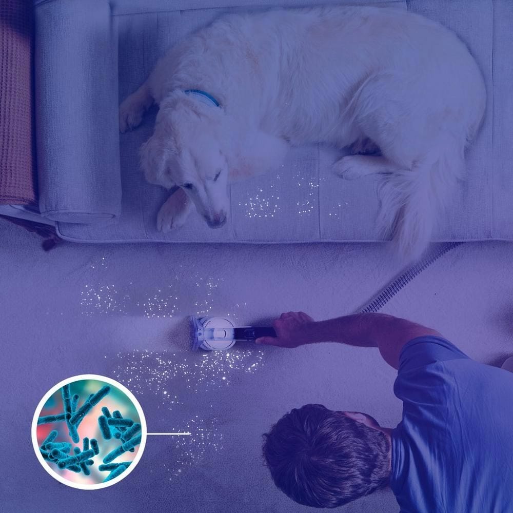 Vax SpotWash Home Pet-Design Spotcleaner - Grey, White & Teal - CDSW-MPXA