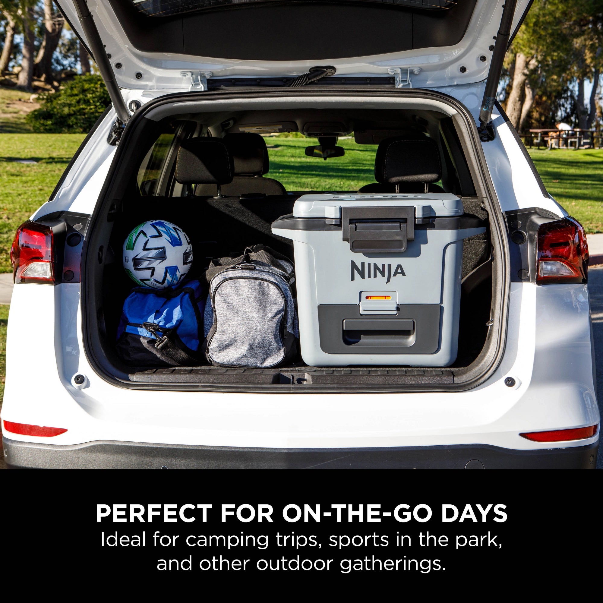 Ninja FrostVault 28L Hard Cooler with Dry Zone - Slate Grey - FB131UKGY