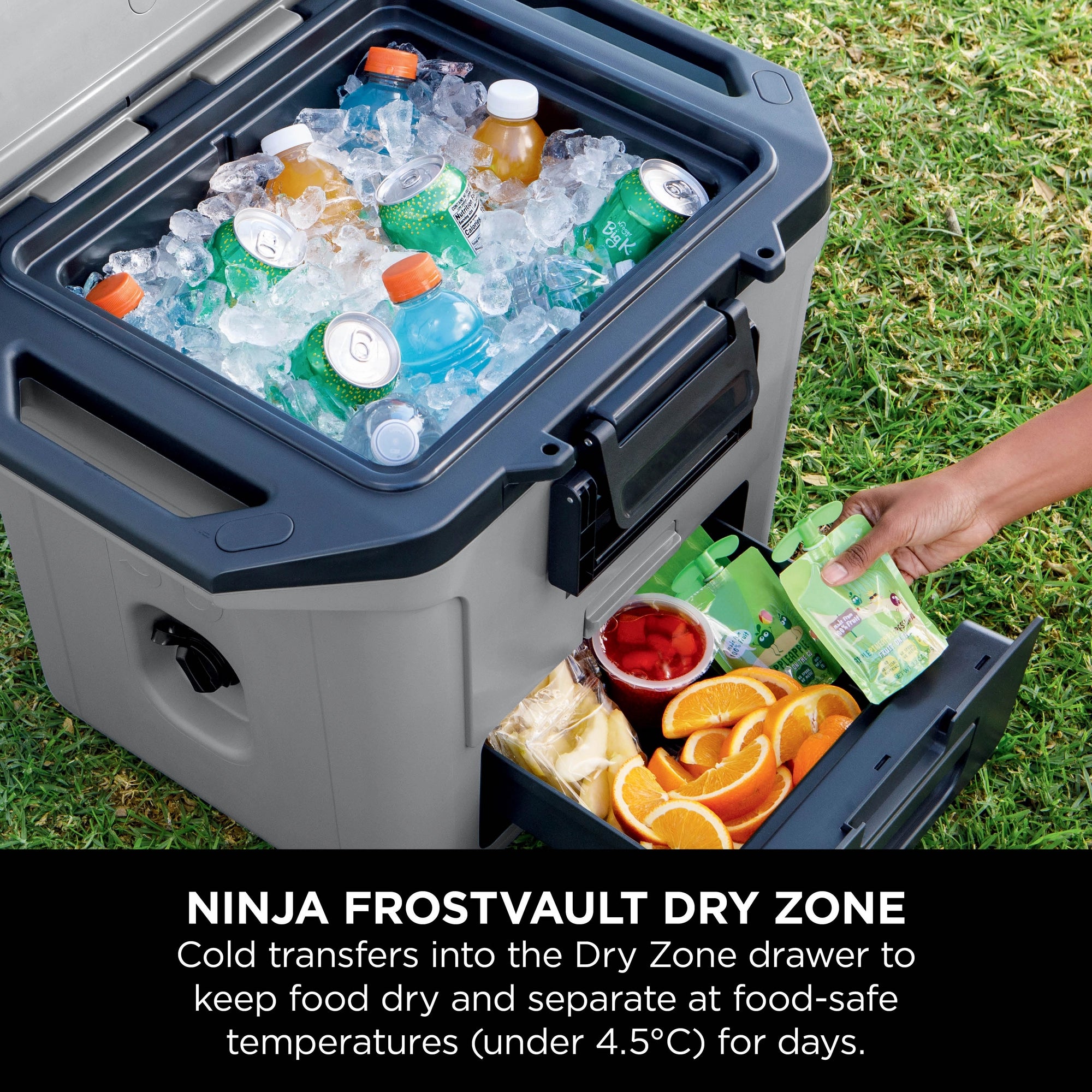 Ninja FrostVault 28L Hard Cooler with Dry Zone - Slate Grey - FB131UKGY