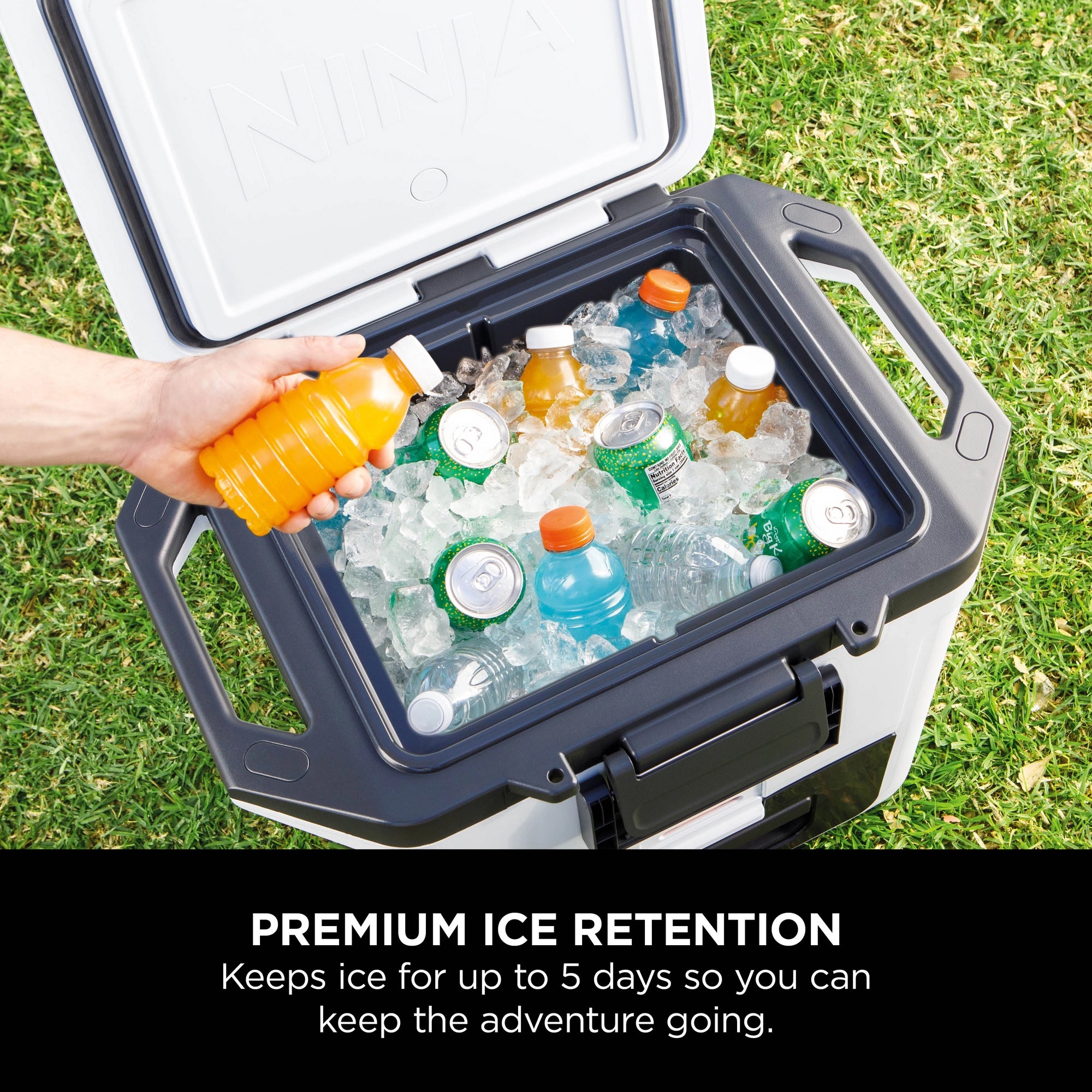Ninja FrostVault 28L Hard Cooler with Dry Zone - Cloud White - FB131UKWH