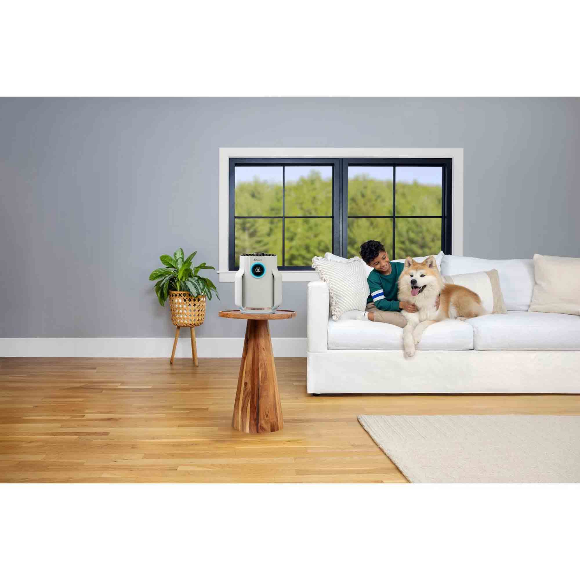 Shark NeverChange5 Air Purifier Compact Pro - HP072UK