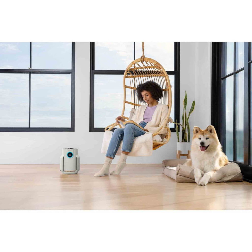 Shark NeverChange5 Air Purifier Compact Pro - HP072UK