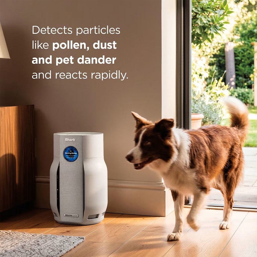 Shark BreatheClear with NeverChange6 Air Purifier - Dove - HP162UK
