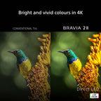 Sony K43S25M2PB.UKA 43 Inch, Ultra HD LED Television, Google TV, Freeview HD