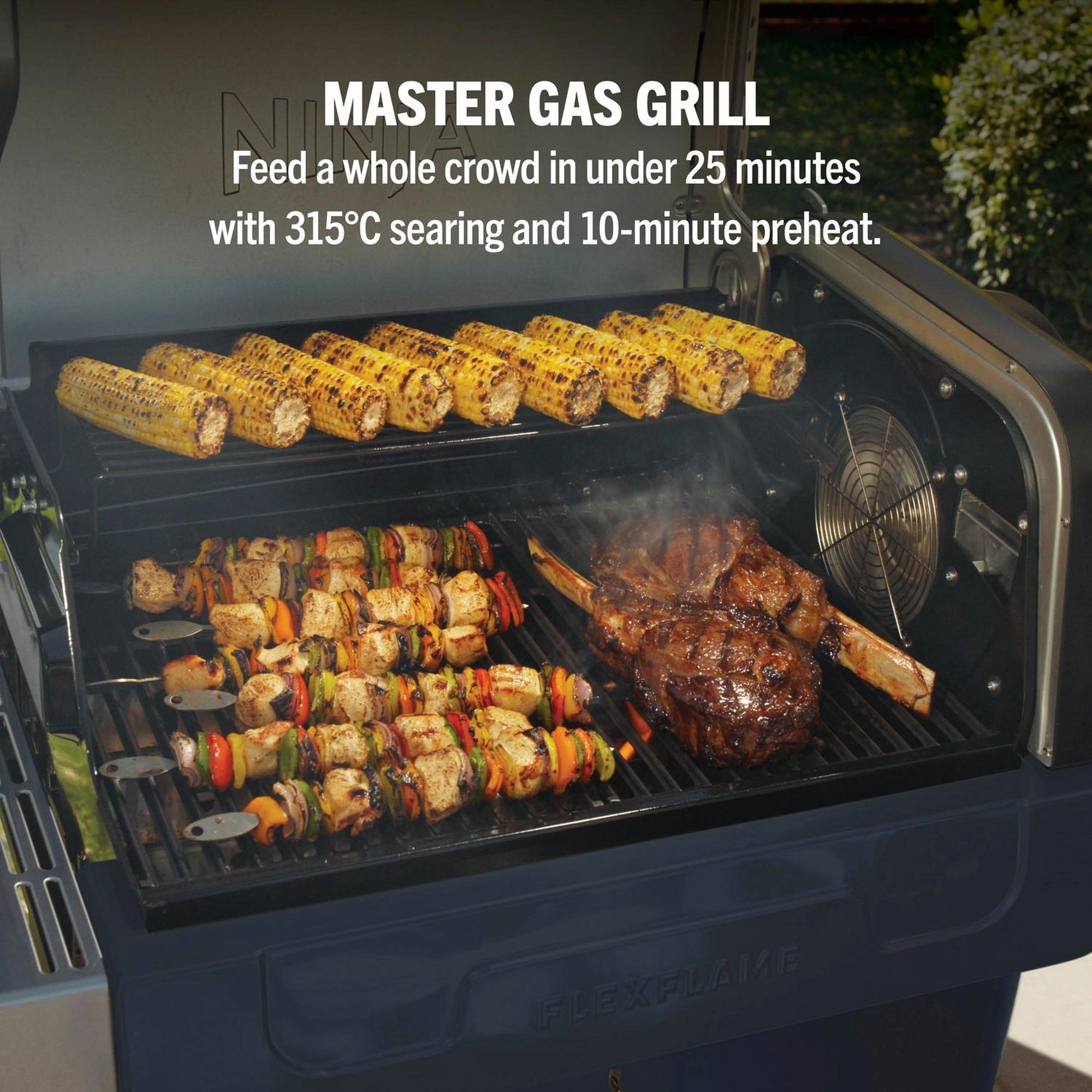 Ninja PG301UK FlexFlame Gas BBQ & Outdoor Cooking System - Black