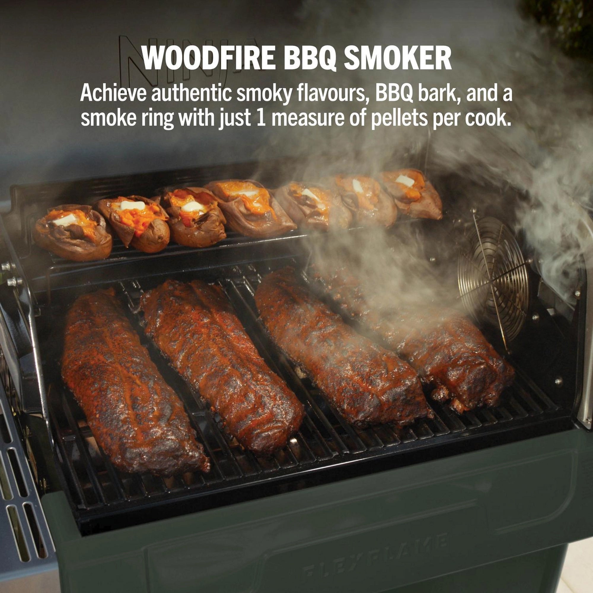 Ninja PG301UKGN FlexFlame Gas BBQ & Outdoor Cooking System - Green