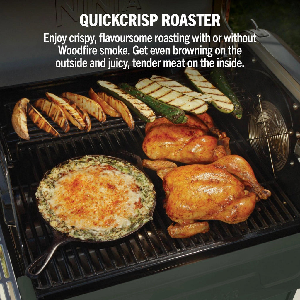 Ninja PG301UKGN FlexFlame Gas BBQ & Outdoor Cooking System - Green