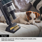 Pet hair removal tool on a couch with a dog lying next to it
