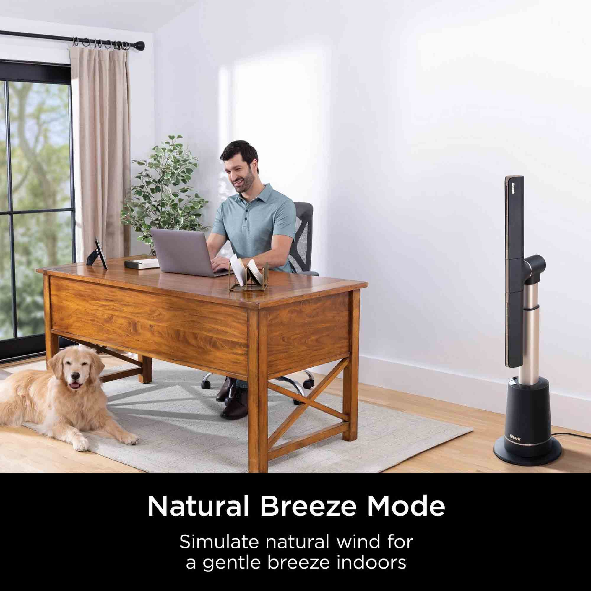 Shark TurboBlade Multi-Directional Cooling Fan in Charcoal & Beat Brass - TF200SUK image 4