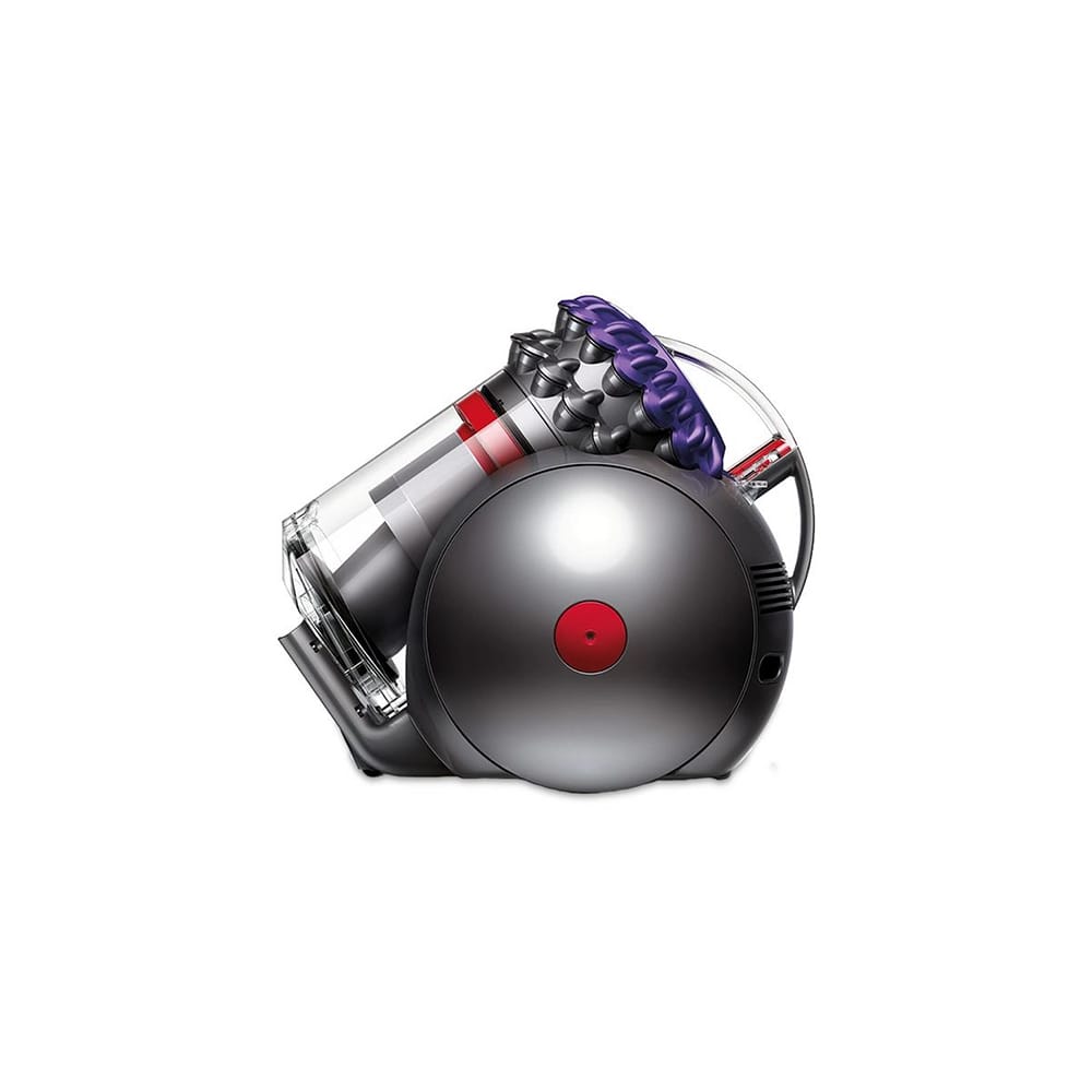 Dyson Big Ball Animal 2 Cylinder Vacuum Cleaner in Grey image 0